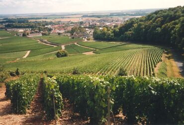 die französische Region La Champagne